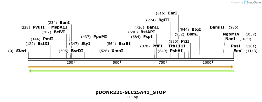 312279_map