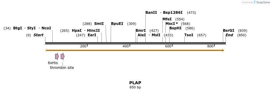 31228_map