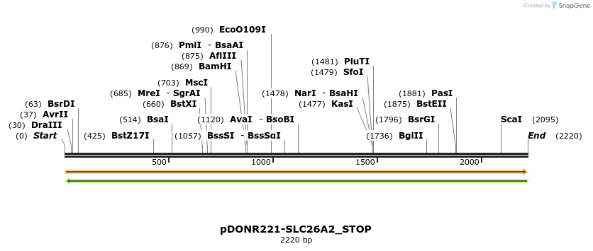 312283_map