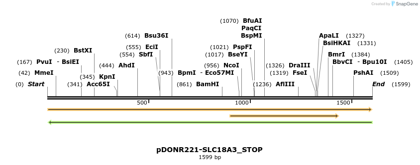 312285_map