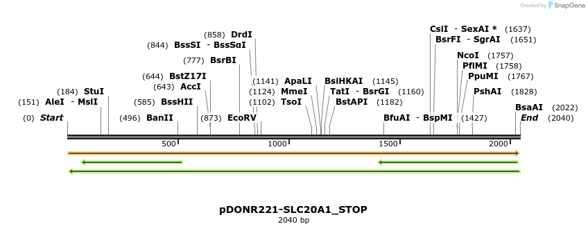 312287_map