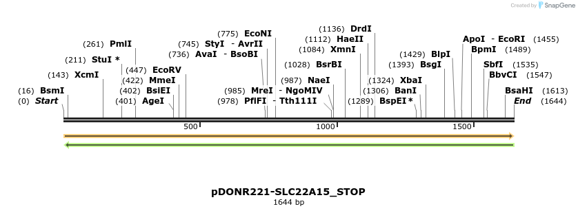 312289_map