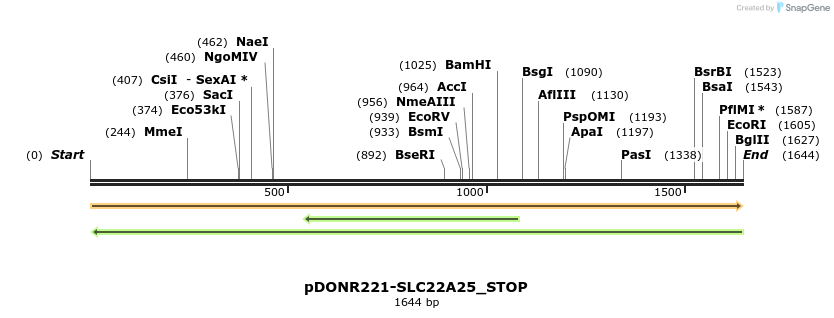 312291_map