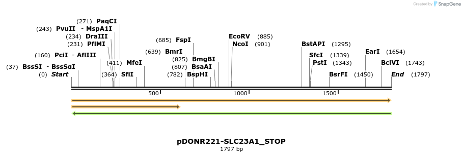 312293_map