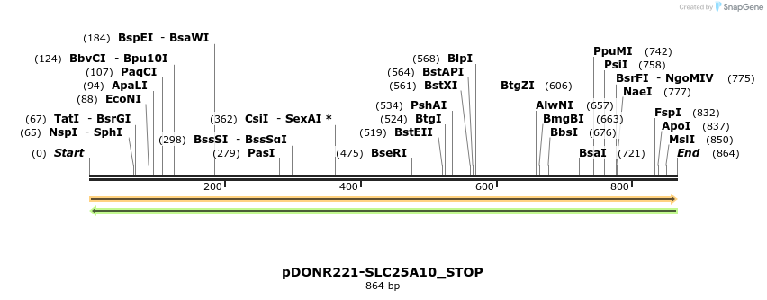 312295_map