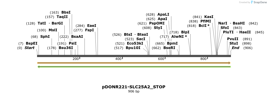 312297_map