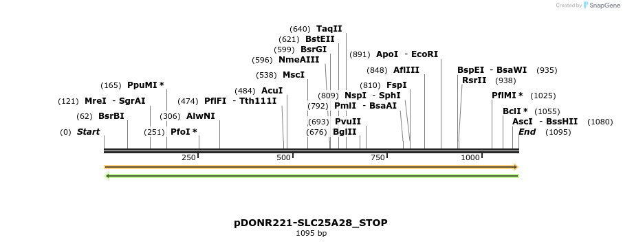 312299_map