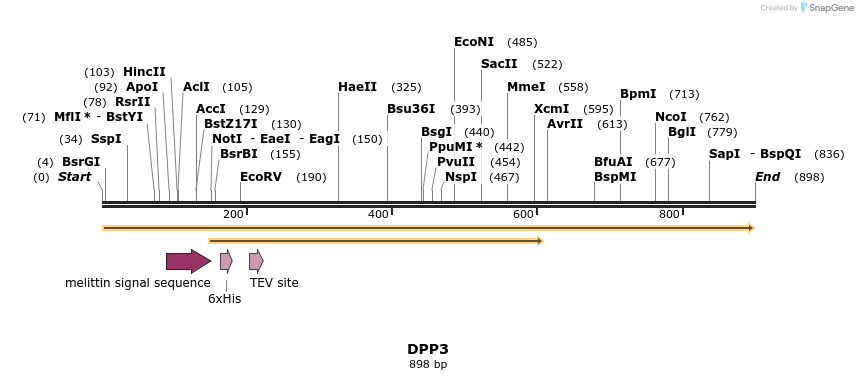 31230_map