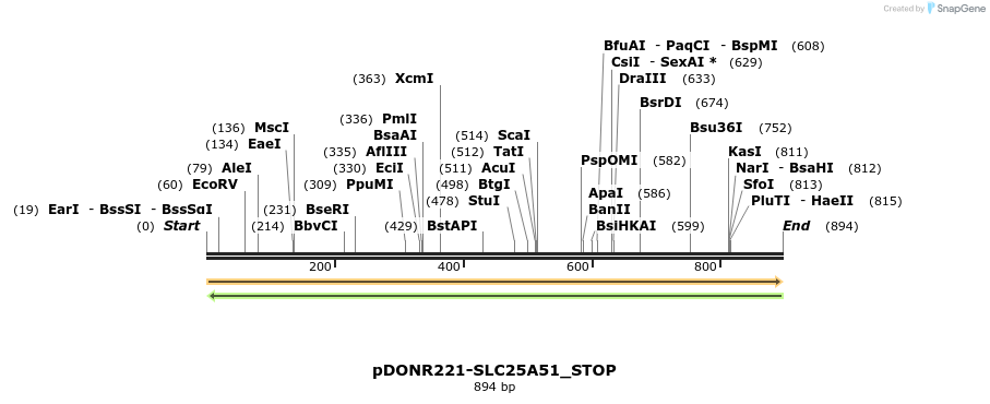 312305_map