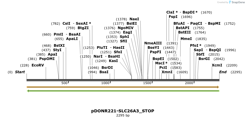 312307_map
