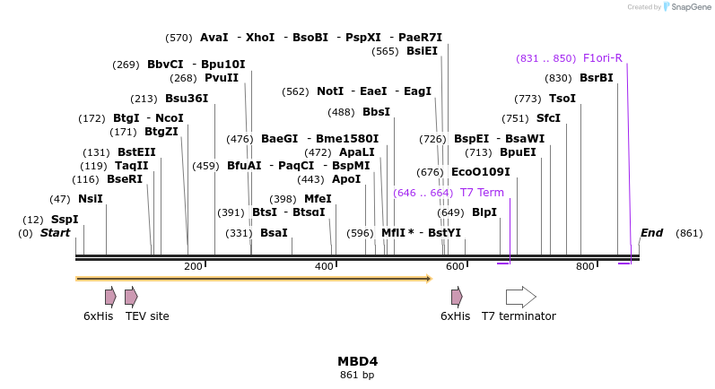 31231_map