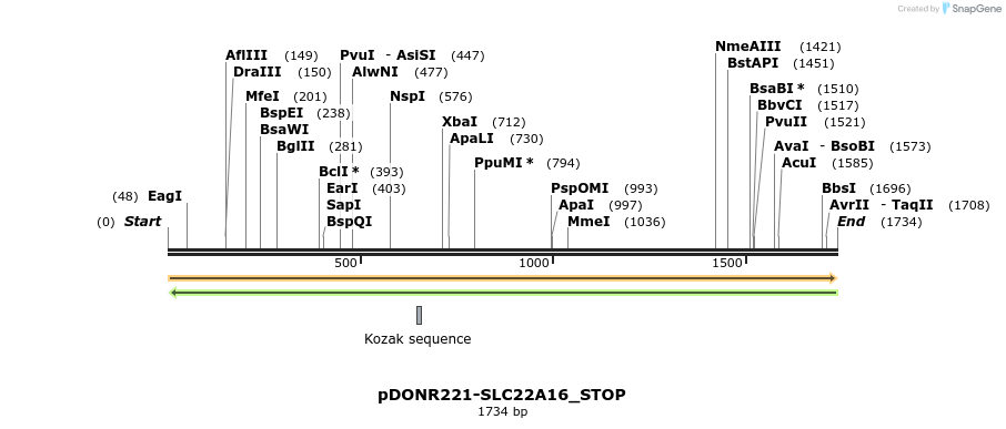 312313_map