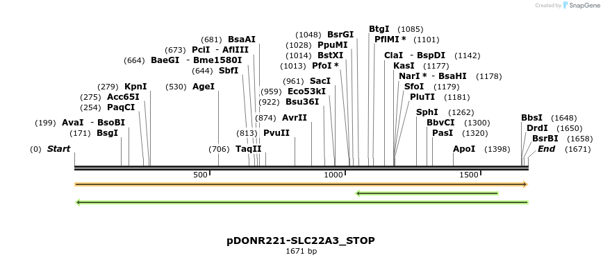 312315_map