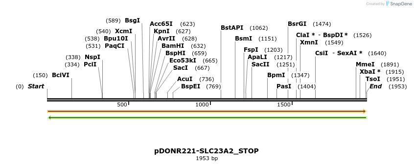 312317_map