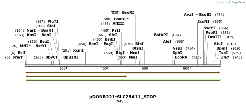 312319_map
