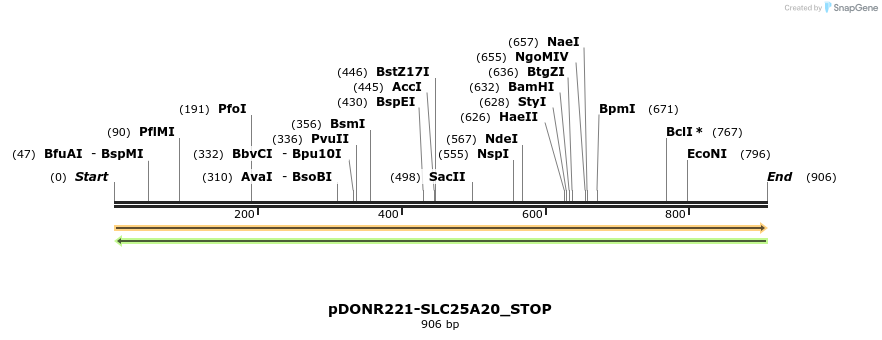 312321_map