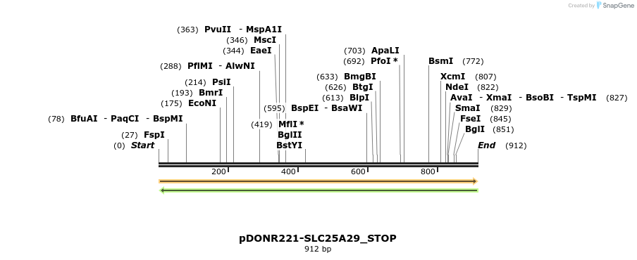 312323_map