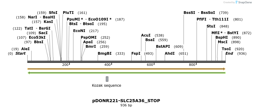 312325_map