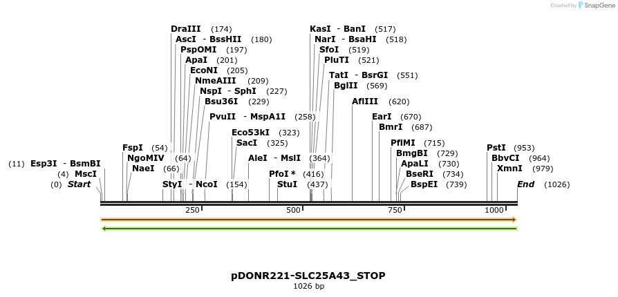 312327_map