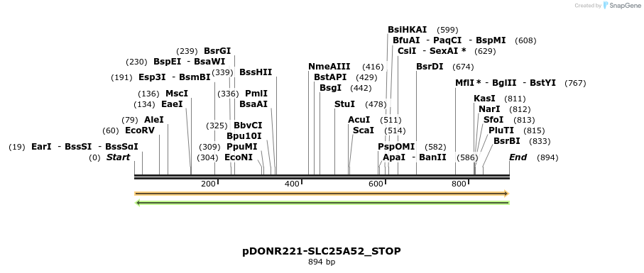 312329_map