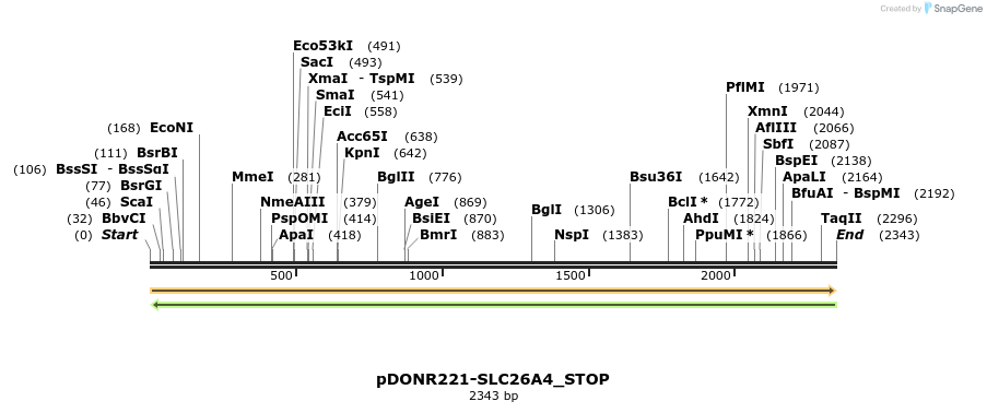 312331_map