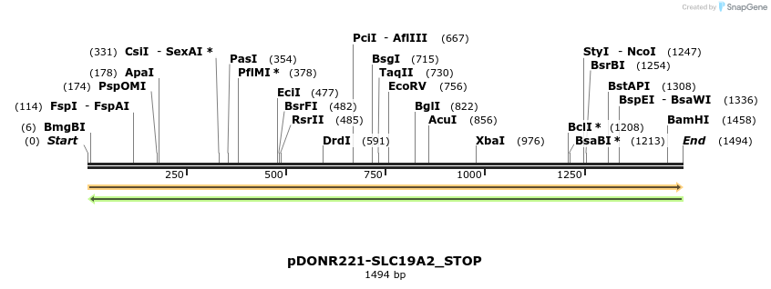 312333_map