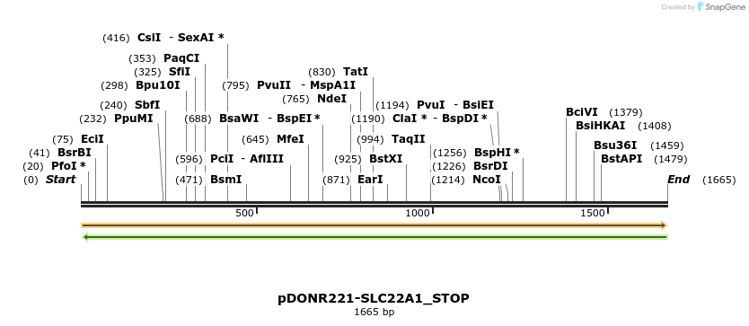 312335_map