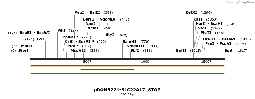 312337_map