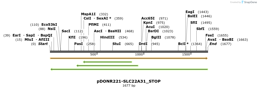 312339_map
