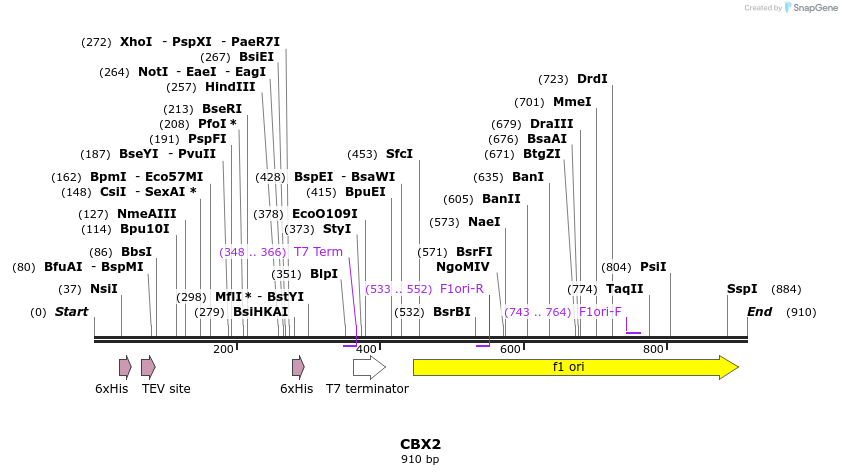 31234_map