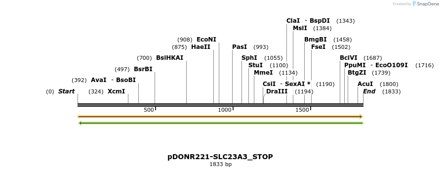 312341_map