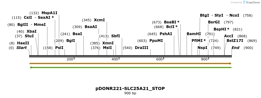 312345_map