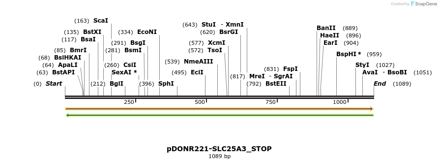 312347_map