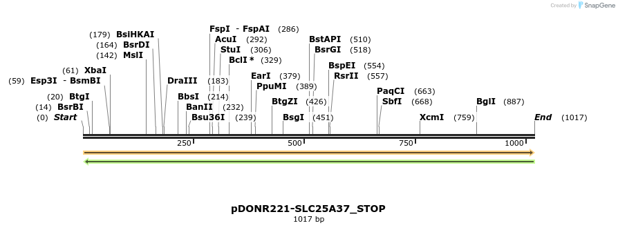 312349_map
