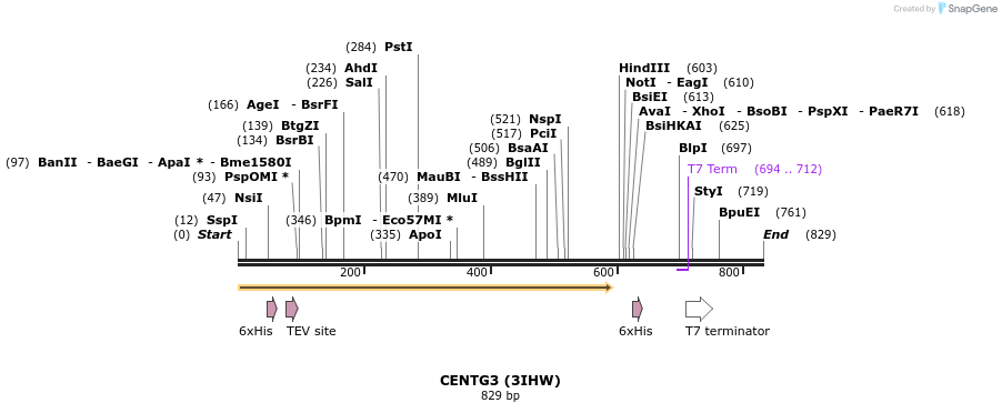 31235_map