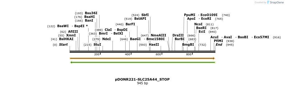 312351_map