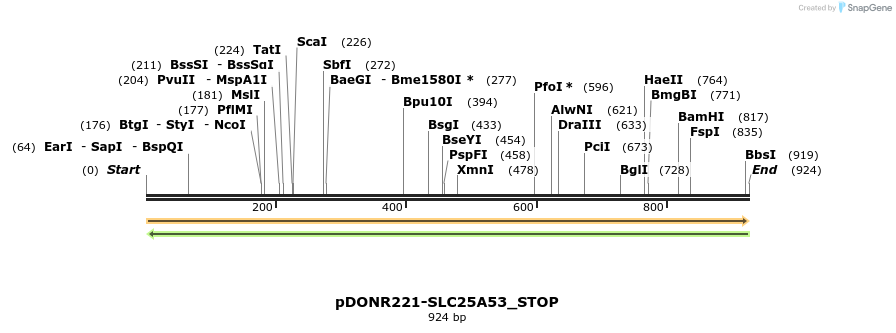 312353_map