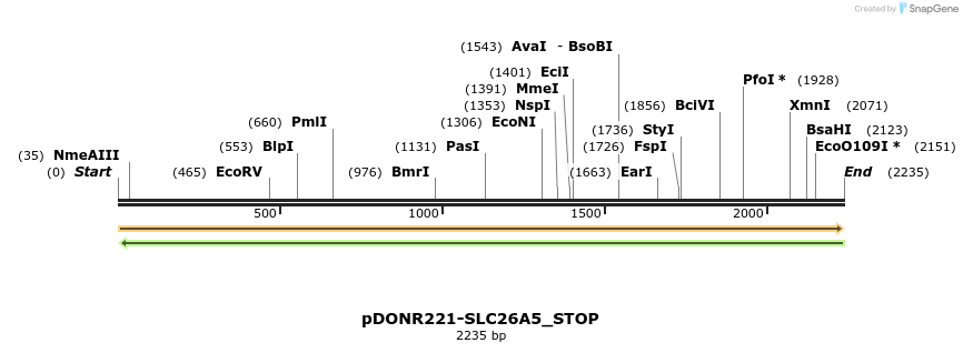 312355_map