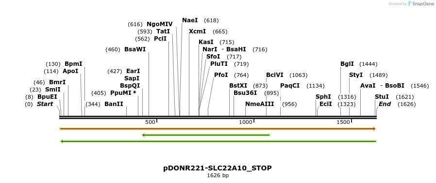 312359_map