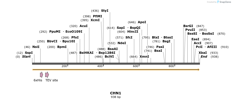 31236_map