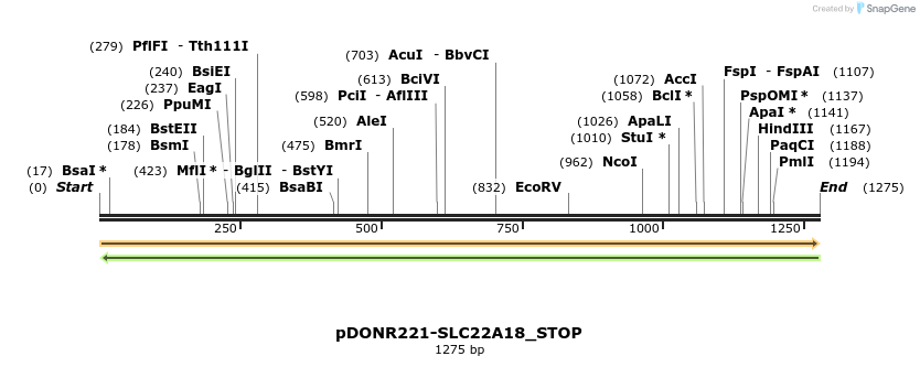 312361_map