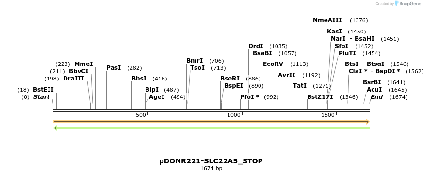 312363_map