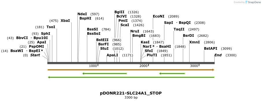 312365_map