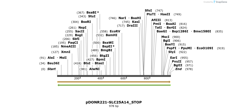 312367_map