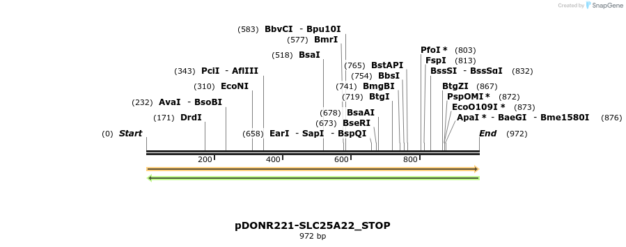 312369_map