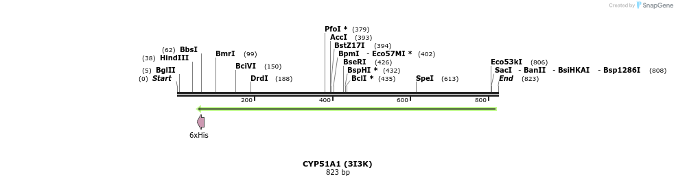 31237_map