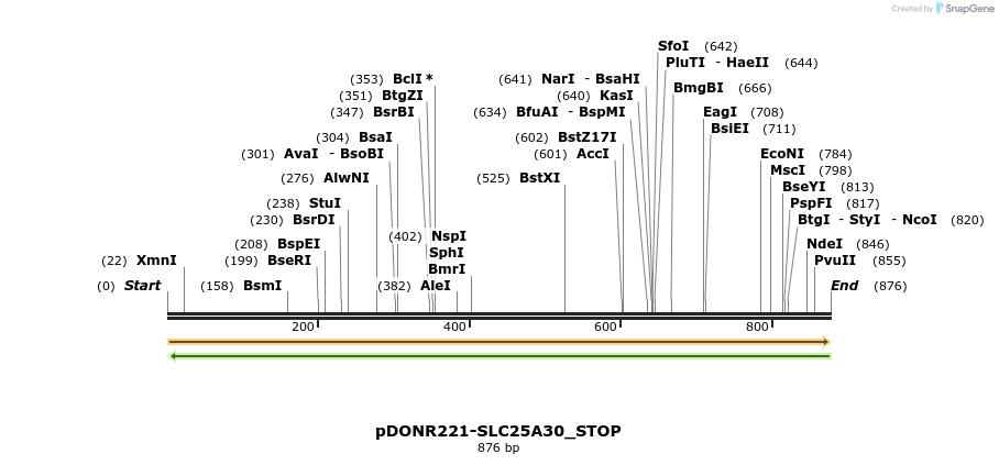 312371_map