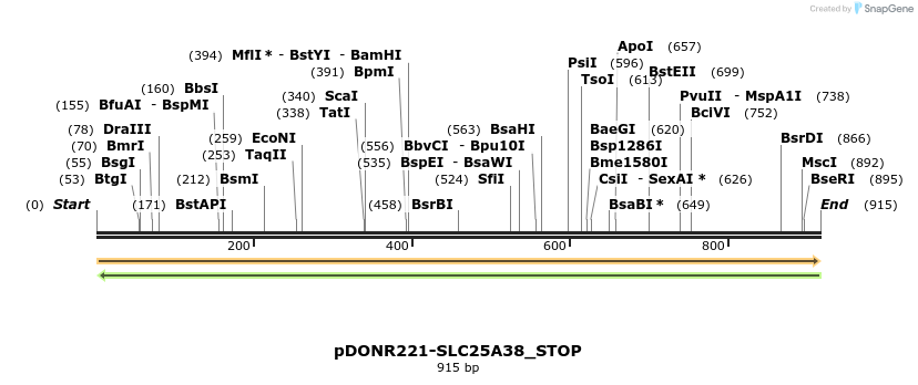 312373_map