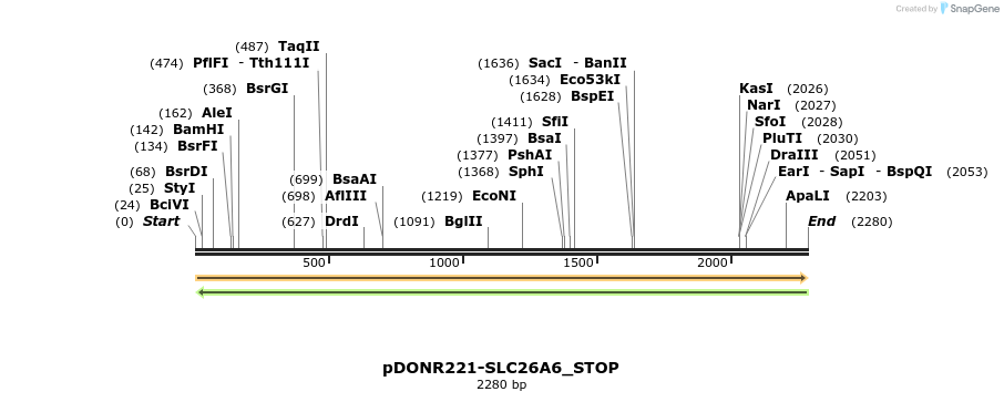 312379_map