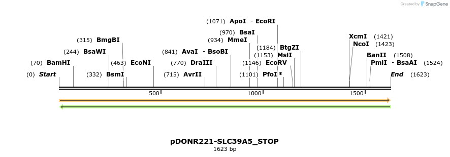 312381_map